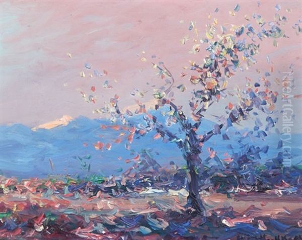 Paisaje - view 1