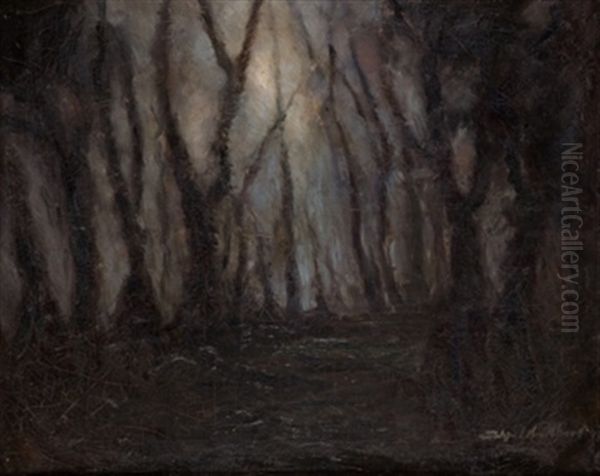 Paisaje - view 1