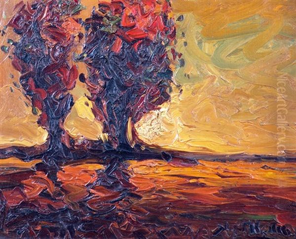 Paisaje - view 1