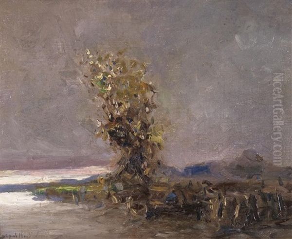 Paisaje Con Arbol - view 1