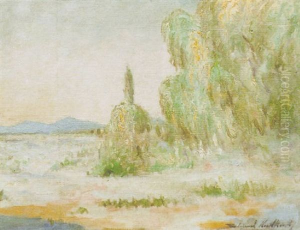 Paisaje - view 1