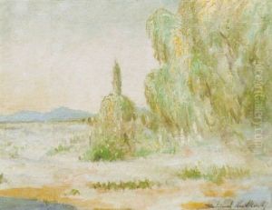 Paisaje Paisaje