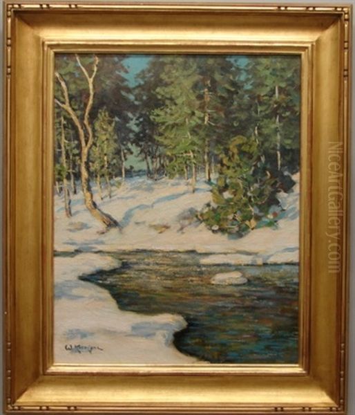 Winter Riverscape - view 1