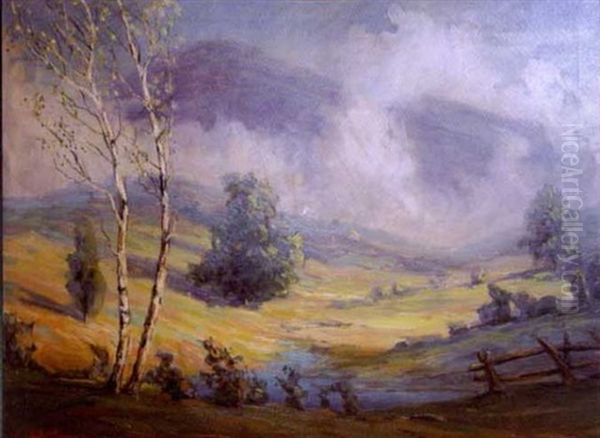 After The Storm In Blue Mountains - view 1