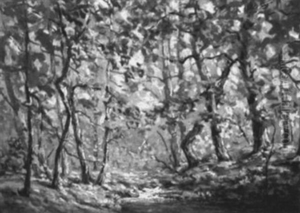Wooded Landscape - view 1