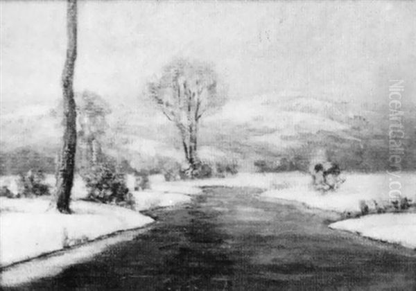 Snowy River - view 1