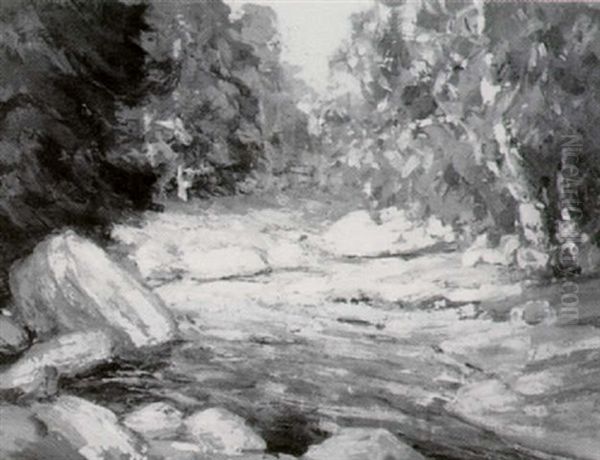 Woodland Stream - view 1