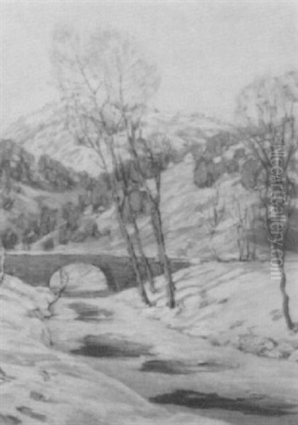 Winter Snow Scene - view 1