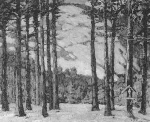 Winter Woods Winter Woods
