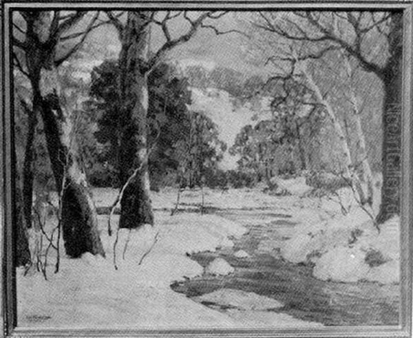 Winter Snow Scene - view 1