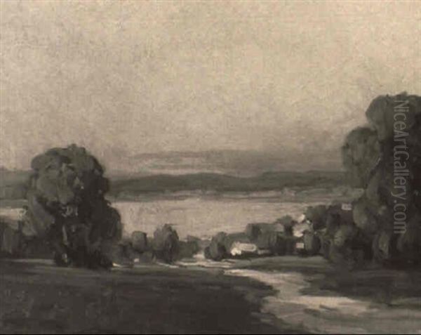 Summer Lake Landscape - view 1