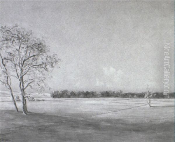 Sunlit Landscape - view 1