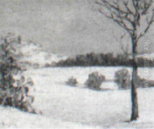 Snowy Field - view 1