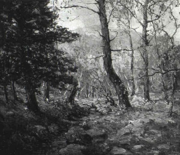 Rocky Stream Through Autumn Woods - view 1