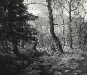 Rocky Stream Through Autumn Woods by Walter Koeniger