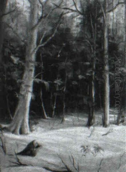 Winter - view 1
