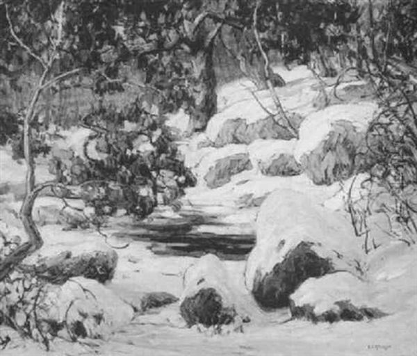 Snowy River Banks - view 1