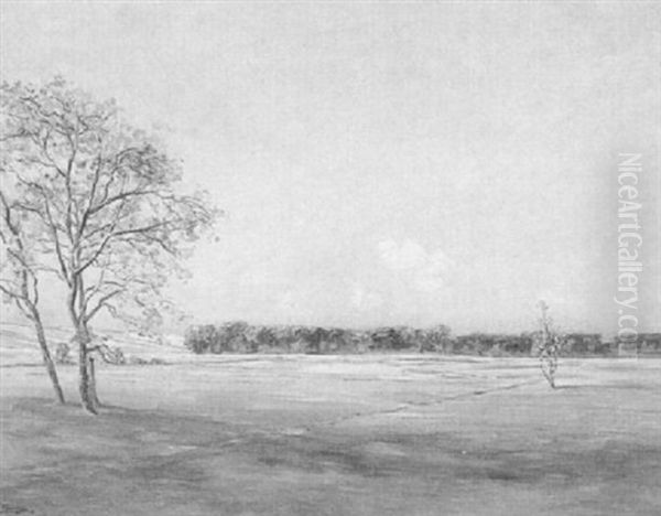 A Vast Farmland - view 1