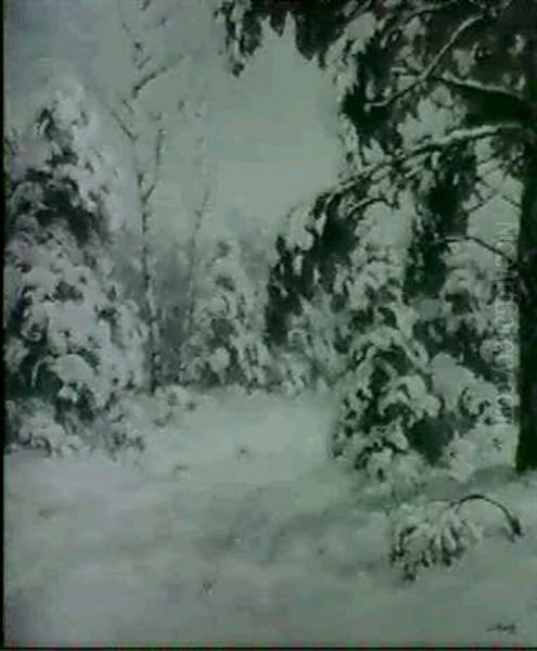 A Silvery Day - view 1