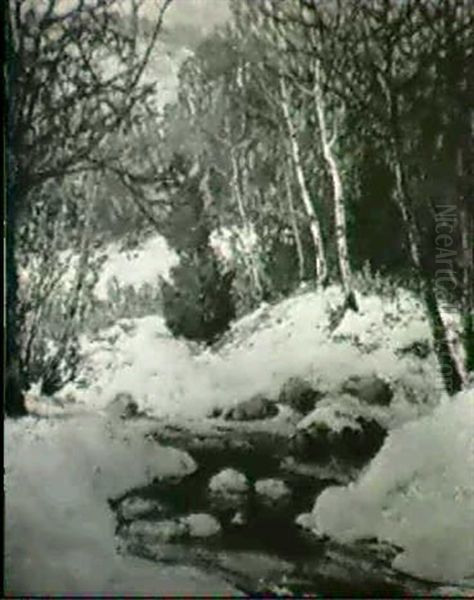 Early Thaw - view 1