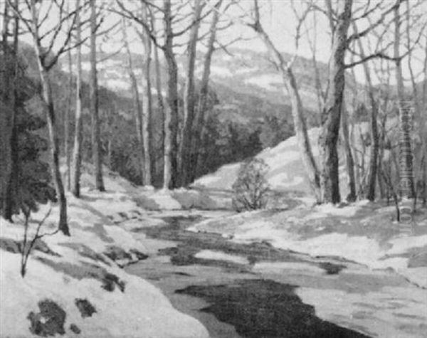 Stream Through A Wooded Landscape - view 1