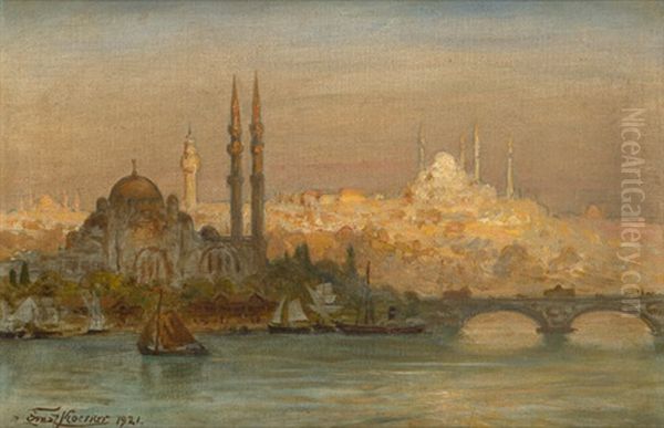 Blick Auf Istanbul Mit Der Yeni Moschee Und Der Suleymaniye-moschee - view 1