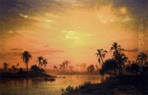 Palmeraie Au Bord Du Nil