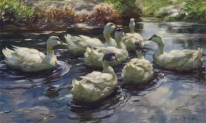 Seven Ducks On Sunny Reed Water by Alexander Max Koester