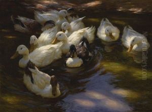 Ducks In The Morning Sun by Alexander Max Koester