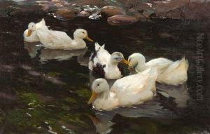 Funf Enten Im Teich Funf Enten Im Teich