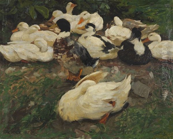Erwachende Enten (entenfamilie) - view 1