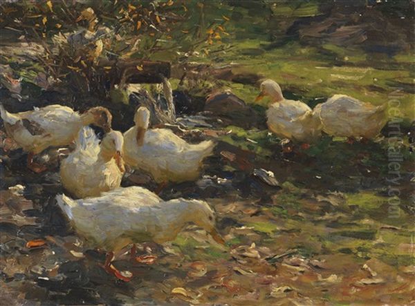 Enten Am Brunnele - view 1