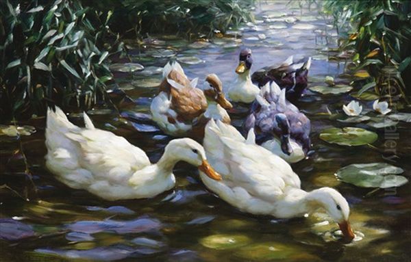 Five Ducks - view 1