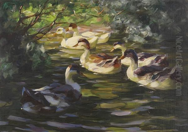 Sechs Enten Auf Dem Wasser Unter Uferstrauchern - view 1