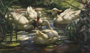 Enten Auf Dem Waldweiher by Alexander Max Koester