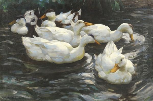 Sechs Enten Im Wasser - view 1