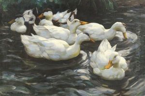 Sechs Enten Im Wasser Sechs Enten Im Wasser