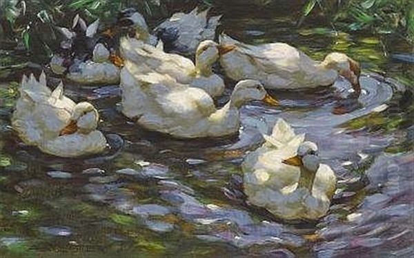 Sieben Enten Im Wasser - view 1