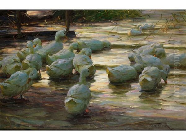 17 Enten Am Seeufer - view 1