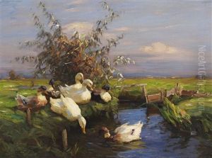Sieben Enten Am Graben Sieben Enten Am Graben