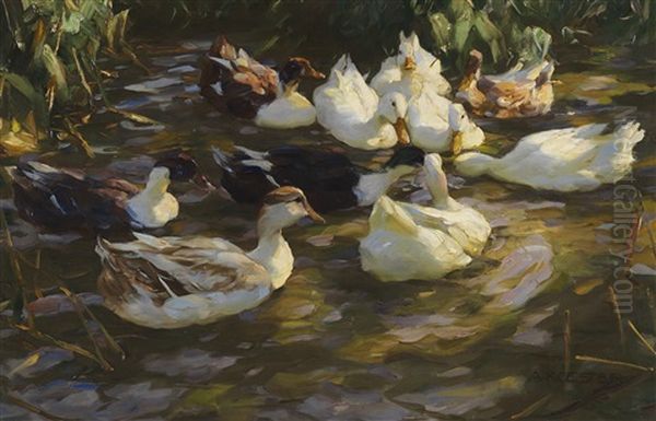 Enten Im Teich (enten Am Bach) - view 1