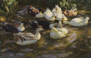 Enten Im Teich (enten Am Bach) Enten Im Teich (enten Am Bach)