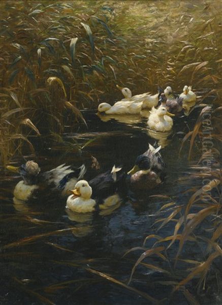 Ducks In Autumn - view 1