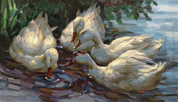Four Ducks On A Pond - view 1