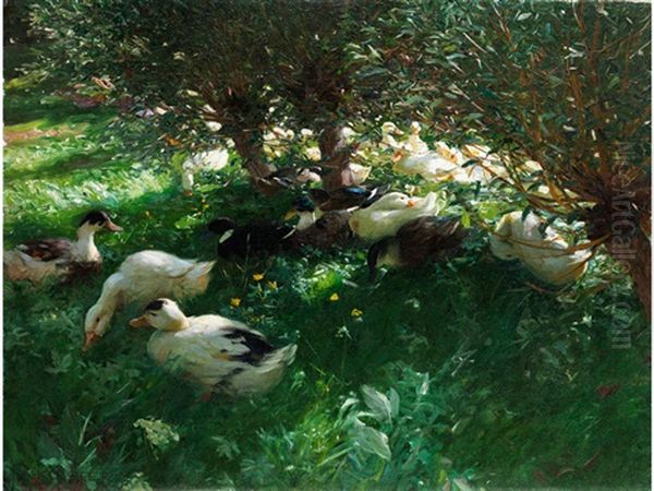 Mittagsrast (enten Unter Weiden) - view 1