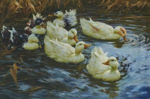 Sieben Enten Im Schilfwasser
