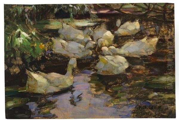 Enten Im Wasser, Ohne Sonne - view 1