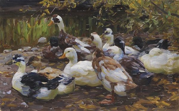 Meine Enten (elf Enten Am Ufer) - view 1