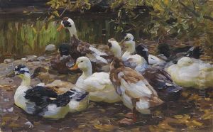 Meine Enten (elf Enten Am Ufer) by Alexander Max Koester