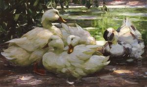 Enten Am Ufer by Alexander Max Koester